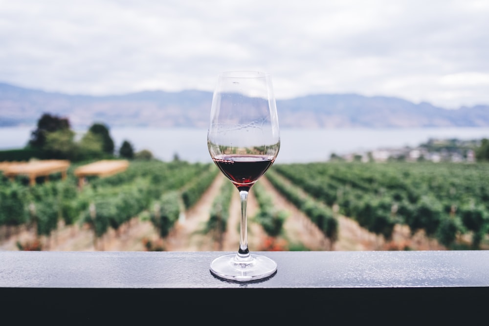 Viñedos Copas Vino al atardecer